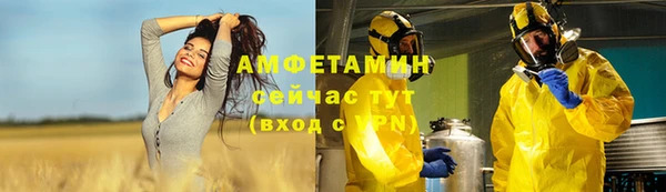 амф Алексин