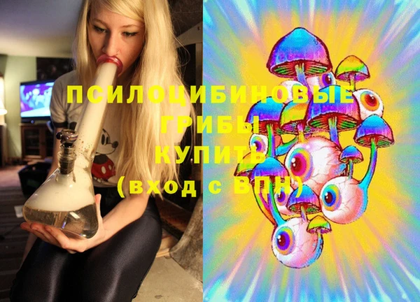 амф Алексин