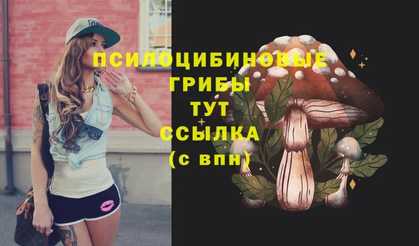 амф Алексин