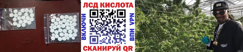 где продают наркотики  Сунжа  ЛСД экстази кислота 