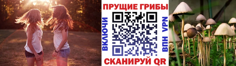 Псилоцибиновые грибы прущие грибы  Сунжа 